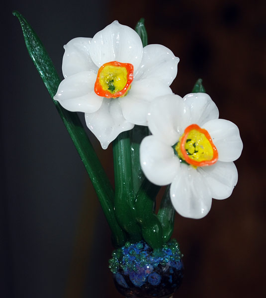 White Narcissus