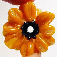 Black Eyed Susan