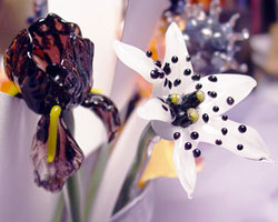Iris & Lily Closeup